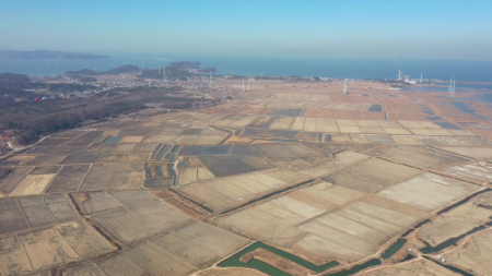 '여의도 9배' 안산 대송단지, 미래형 농산업 거점 변신