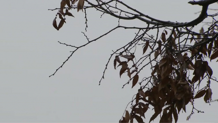 비 내리며 기온 '뚝'…오전부터 밤사이 중부 비·눈