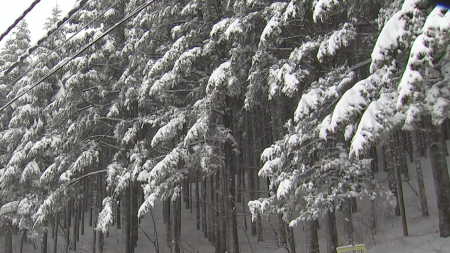 오늘 동쪽 비·눈...강원 산간 20cm 이상 많은 눈