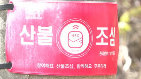 내일부터 '대형산불 특별대책기간'...범정부 대응 강화