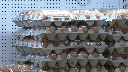 달걀 한 판 다시 7천 원대...조류인플루엔자 확산 영향