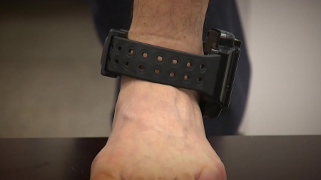 "전자발찌·구속영장 동시 신청"...7개월 만에 공염불