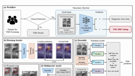 X-레이 정보만으로 턱관절 이상 예측하는 AI 개발