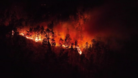 대형산불, 수종·지역 가리지 않고 발생…전국 '주의'