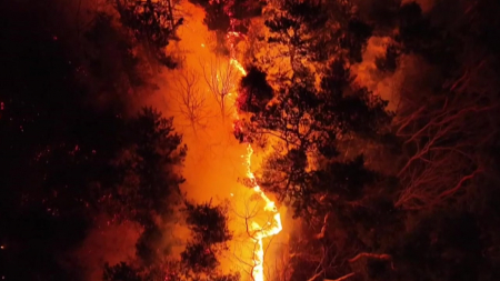 대형산불, 수종·지역 가리지 않고 발생…전국 '주의'
