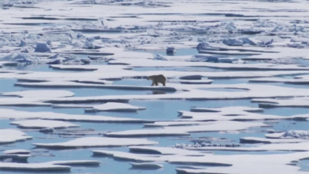 온도 상승 넘어 '균형 붕괴'...WMO "에너지 불균형 최고 수준"
