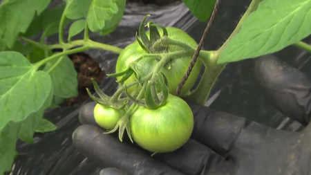 소멸 위기 농촌의 반전...'소득 지원'이 살렸다