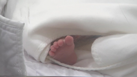 서울 출생아 5명 중 1명, 난임 시술로 탄생