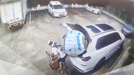 '제2의 프로포폴' 등 44억 원어치 의약픔 불법 유통 적발