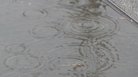 전국 흐리고 봄비…제주·남해안 강한 비 주의