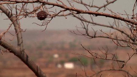 "유독 뜨거운 한국"...'기후위기 표준' 불명예