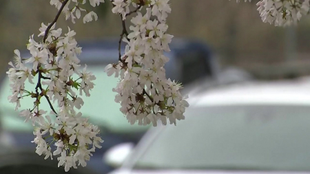 오늘 서울 등 서쪽 큰 일교차, 아침 안개...제주·동쪽 봄비