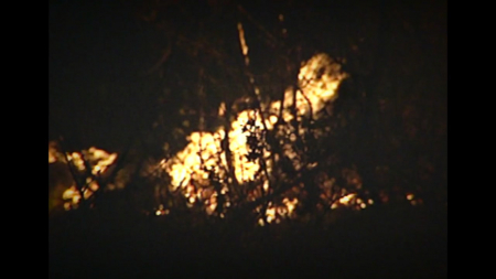 식목일·청명·한식 겹치는 4월...산불 원인 1위 '실화'