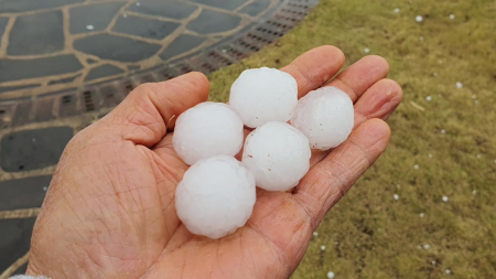 골프공만 한 우박이 '통통'...농작물 피해 우려