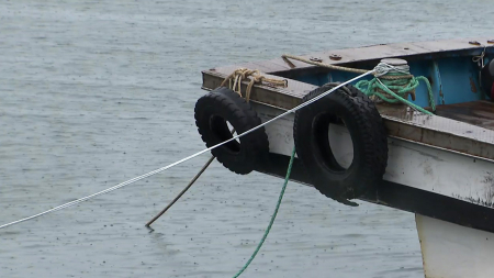 전국 비, 남해안·제주 봄 호우…벼락·돌풍 동반
