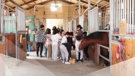 마음 치유하는 농촌...우수 치유농업시설 인증제 도입