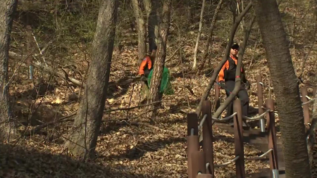 늑대 탈출 엿새째 오리무중...수색 장기화 국면