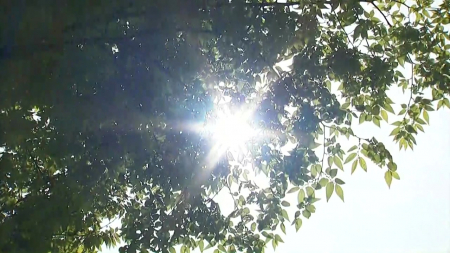 오늘도 초여름 '서울 26℃'...동쪽은 선선