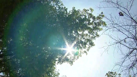 오늘도 서쪽 초여름 더위 계속…동해안 선선