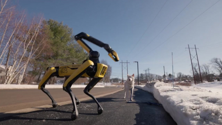 현대차그룹 4족 로봇 '스팟', 집안 정리에 강아지 산책까지