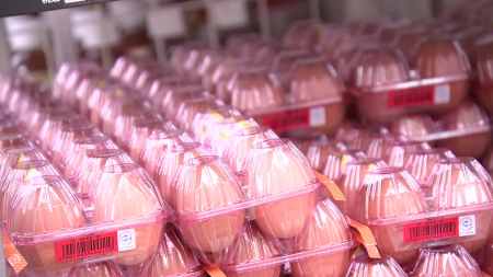 중동 전쟁에 밥상 '흔들'...일본도 달걀 최고 찍었다