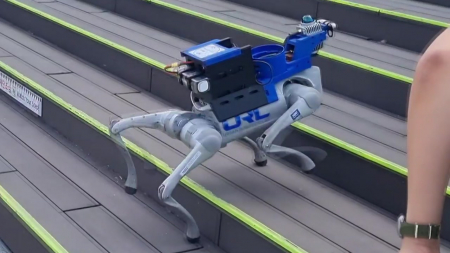 자율주행 기술 품은 로봇…스스로 보고 판단해 움직인다