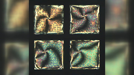 [사이다] ② 1분 만에 식중독균 잡아내는 액정 센서 개발