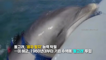 미 해군, 기뢰 제거 작전에 '해상 드론' 사용...돌고래도 투입?