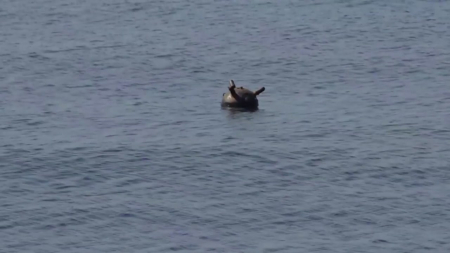 미, 기뢰 제거 나섰지만..."이미 원유 5억 배럴 증발"