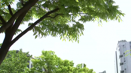 평년 기온 회복했지만 큰 일교차...제주·남해안 비