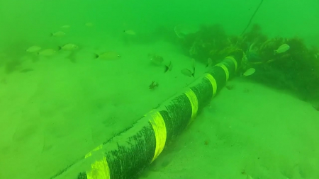 '해저 케이블' 카드까지 꺼낸 이란...또 다른 변수되나?