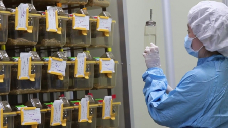 340조 거대 시장 정조준...국내외 항암제 주도권 경쟁 치열