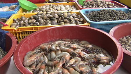 올해 첫 비브리오패혈증 사망...