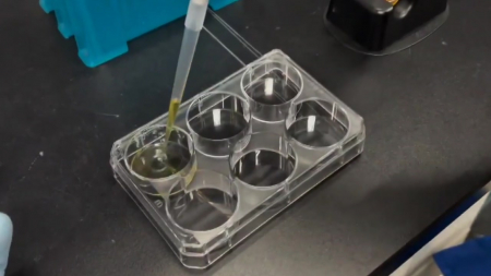 [사이다] ① 3차원 줄기세포 배양 기술 설계