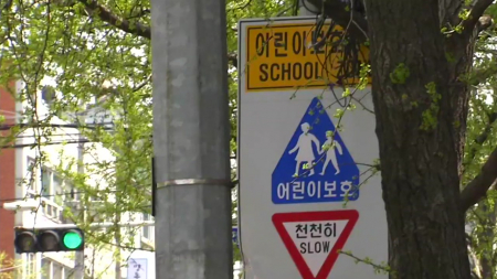 스쿨존 어린이 교통사고 1.8배 급증...정부 "원인 분석"