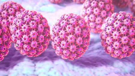 12세 남성 청소년도 사람유두종바이러스(HPV) 백신 무료 접종