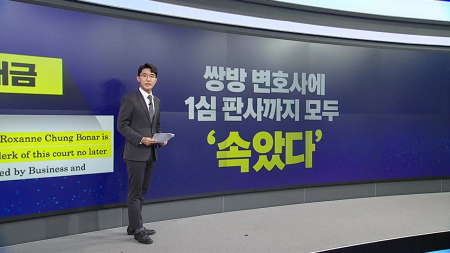 법정 흔드는 AI 환각·조작...각국 사법부 '비상'