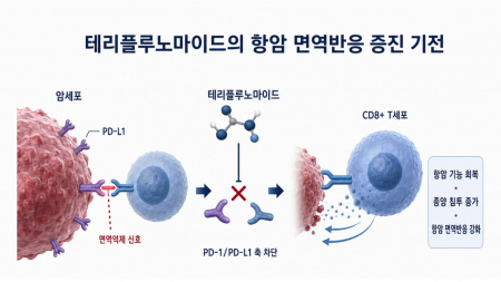 "테리플루노마이드, 대장암 면역세포 활성 확인"