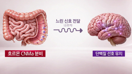 우리 몸이 무엇을 먹을지 결정하는 원리는?...장과 뇌 조절 원리 규명