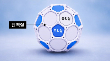 축구공 구조 착안한 '나노 택배'…고분자 치료제 나른다  