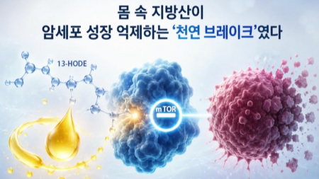 KAIST·고려대 "몸속 지방산 암세포 성장 억제"