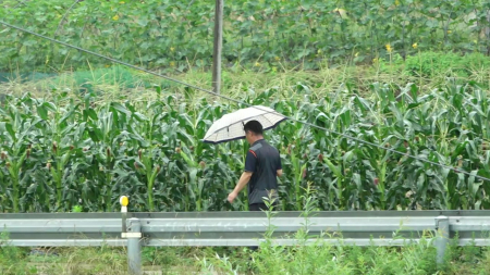 오늘 중부 약한 비, 더위 주춤...남부는 30℃ 안팎 더위