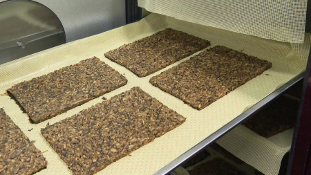 "고기 맛 버섯포"...버섯의 화려한 변신