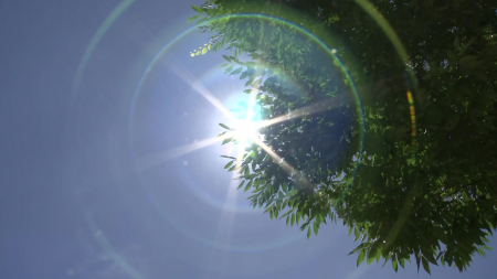 강원 영서에 폭염주의보...제주 산지 호우·강풍 예비특보