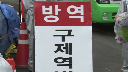 예천 농장 구제역 확진...인접 6개 시·군 '심각' 상향