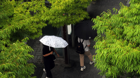 충청·강원·전북 산사태 위기경보 '경계' 격상
