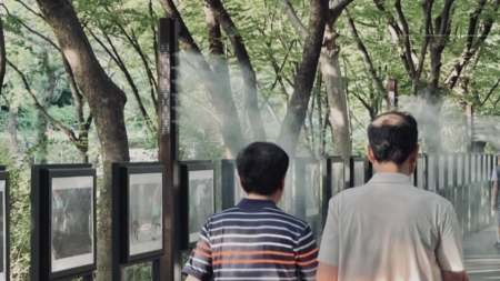 서울시, 폭염 취약계층 보호...열섬 완화 대책 추진