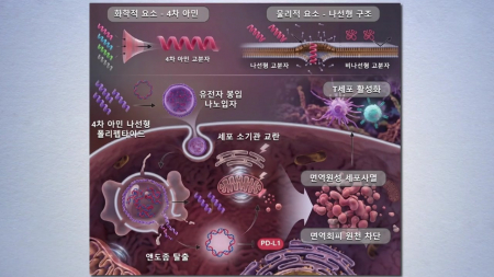 면역세포 공격 유도하는 항암 플랫폼 개발 