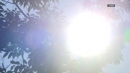 전국 온열질환자 198명 발생...올해 두 번째 높은 수치