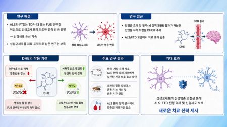 루게릭병·전측두엽 치매 등 뇌 염증 반응 조절하는 기전 규명